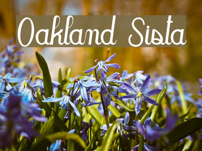 Oakland Sista Font