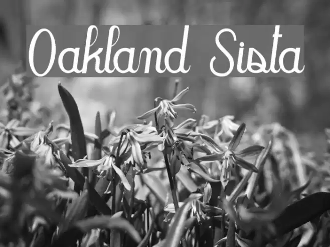 Oakland Sista Fonte examples