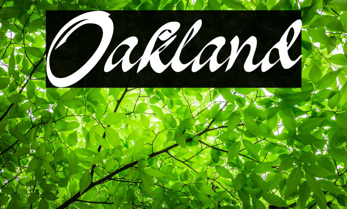 Oakland फ़ॉन्ट examples