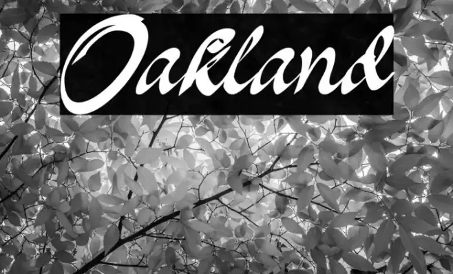 Oakland Font examples