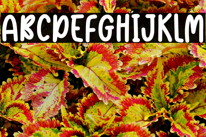 Oakley Ridge Example 2