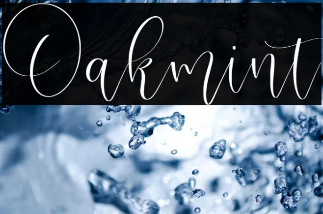 Oakmint Example 3