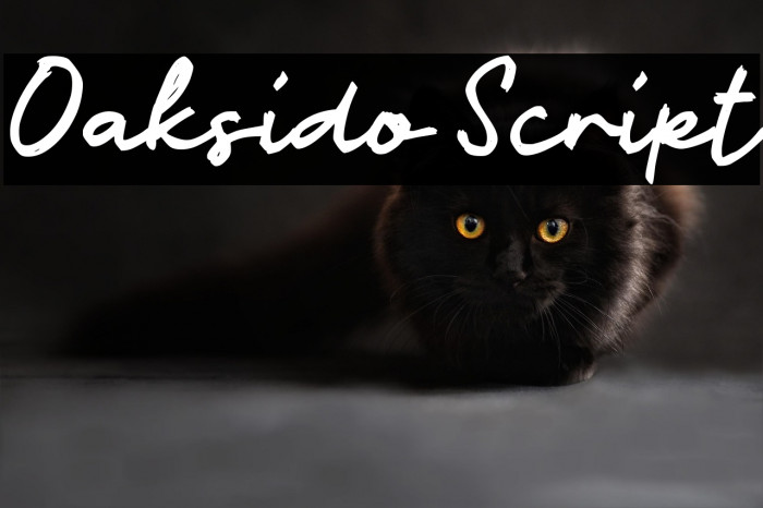 Oaksido Script Example 1