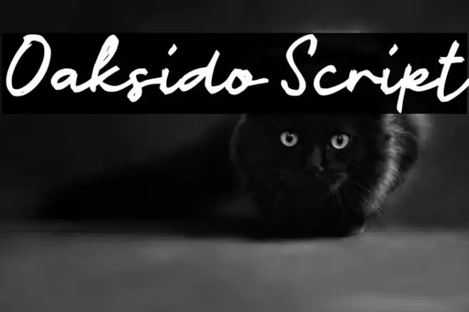 Oaksido Script خط examples