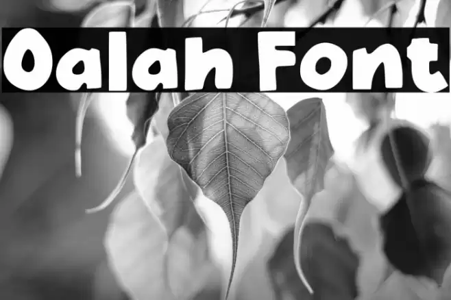 Oalah Font examples