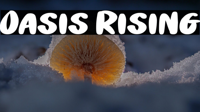 Oasis Rising Example 3
