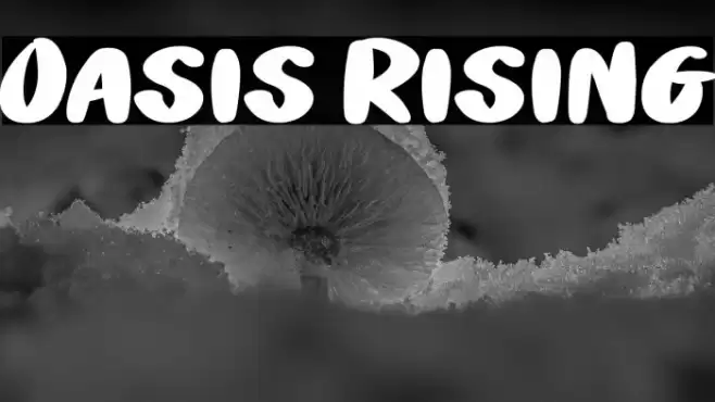 Oasis Rising خط examples