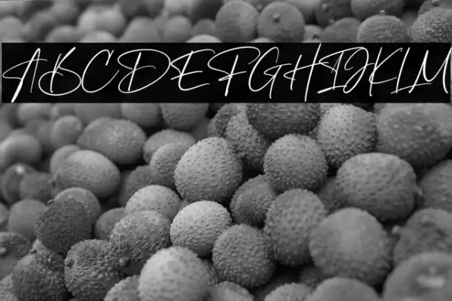 Oastine Polices examples