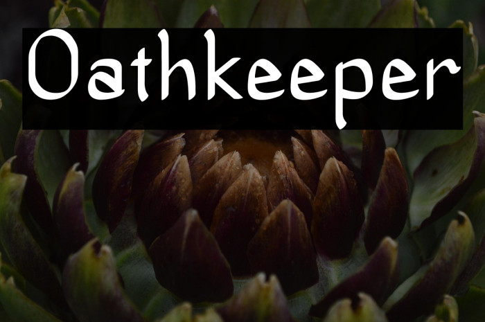 Oathkeeper Example 2