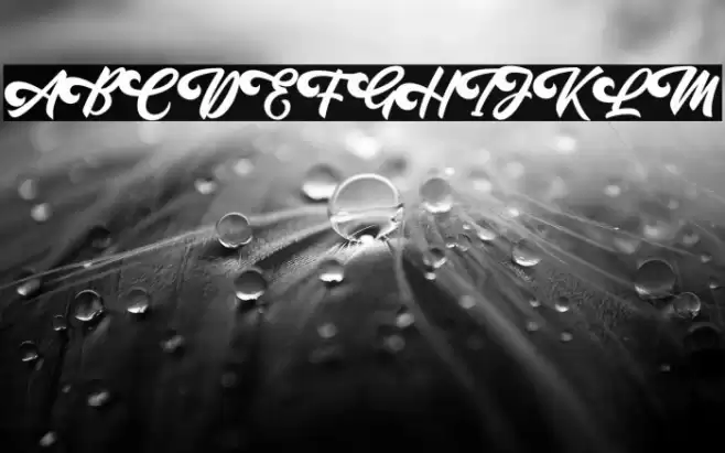 Oatlander Шрифта examples