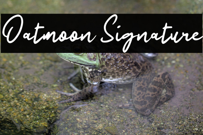 Oatmoon Signature Example 2