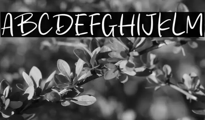 Oaty Milk Font examples