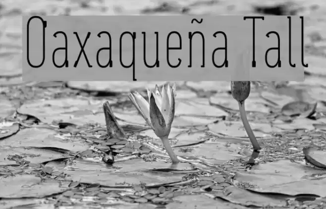 Oaxaqueña Tall Шрифта examples