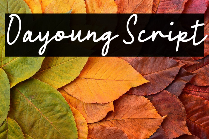 Oayoung Script Example 3