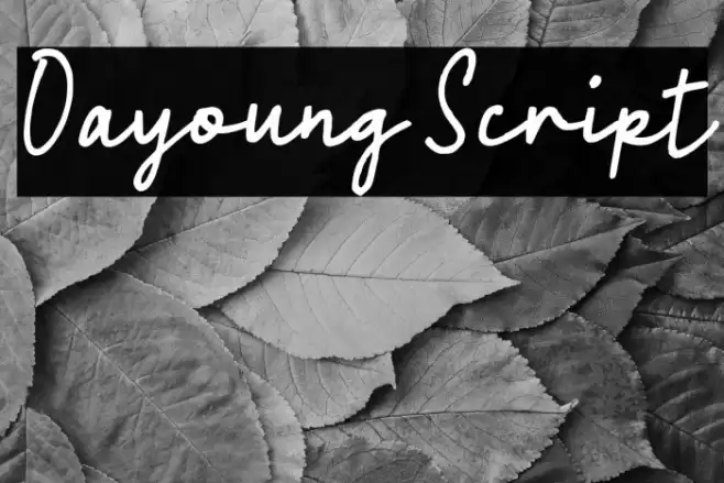 Oayoung Script خط examples