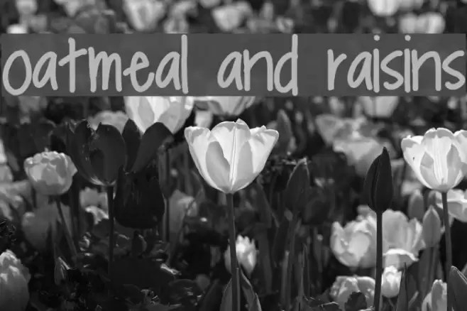 oatmeal and raisins Font examples