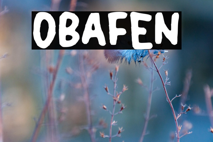 OBAFEN Fuentes examples