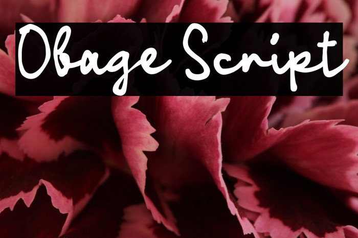 Obage Script Example 2