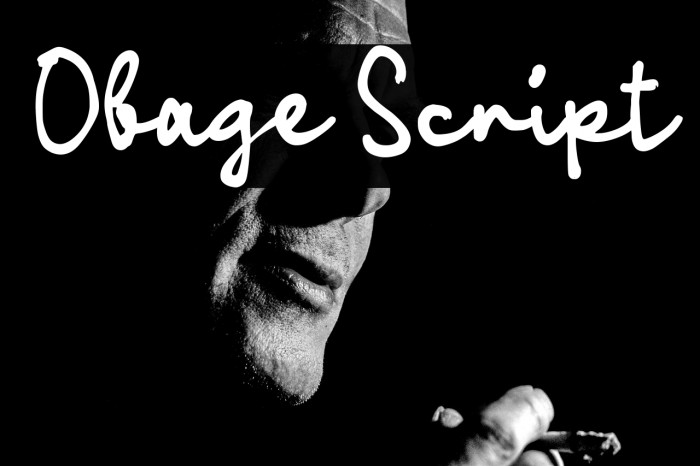 Obage Script Example 3