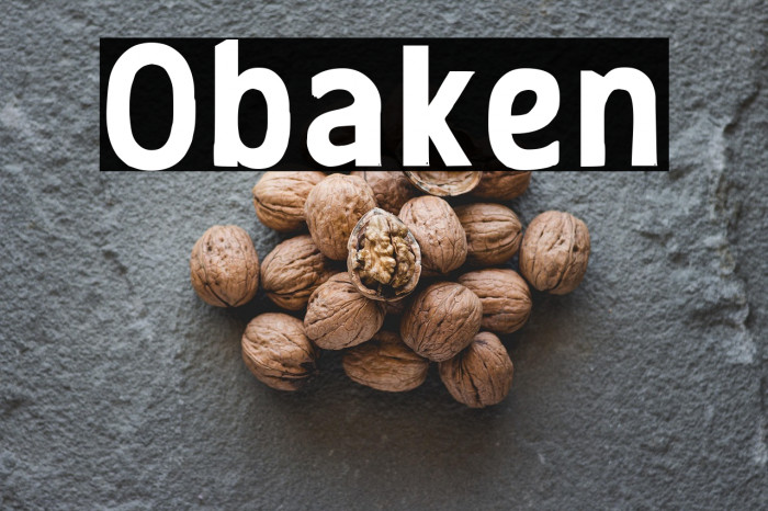 Obaken Example 2