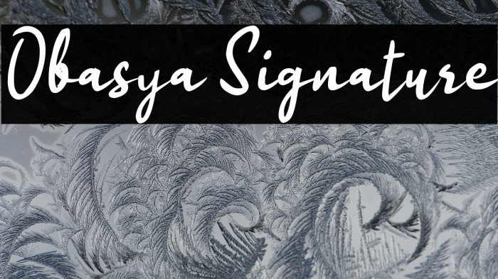 Obasya Signature Example 2
