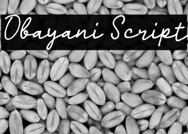Obayani Script Font examples