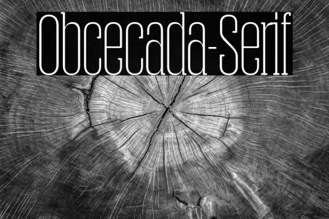 Obcecada-Serif フォント examples