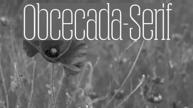Obcecada-Serif フォント examples