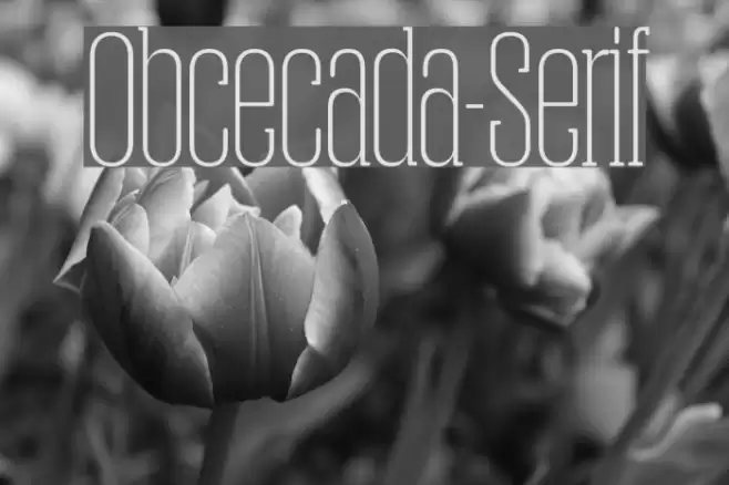 Obcecada-Serif フォント examples