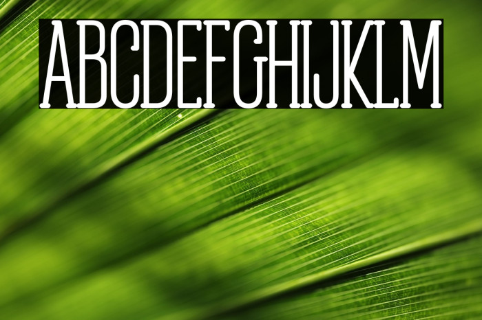 ObcecadaSerif-Bold Example 2