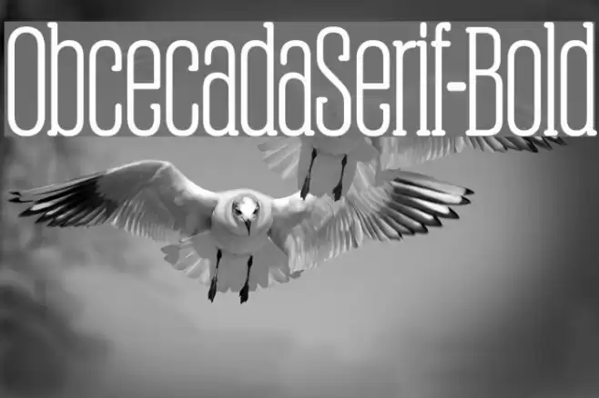 ObcecadaSerif-Bold Font examples