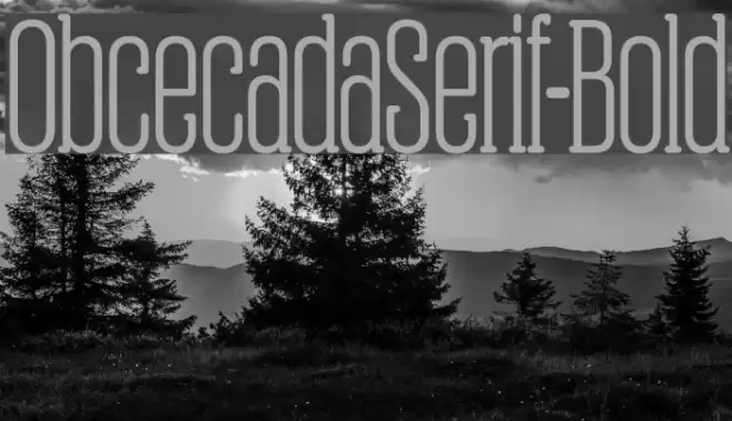 ObcecadaSerif-Bold Font examples