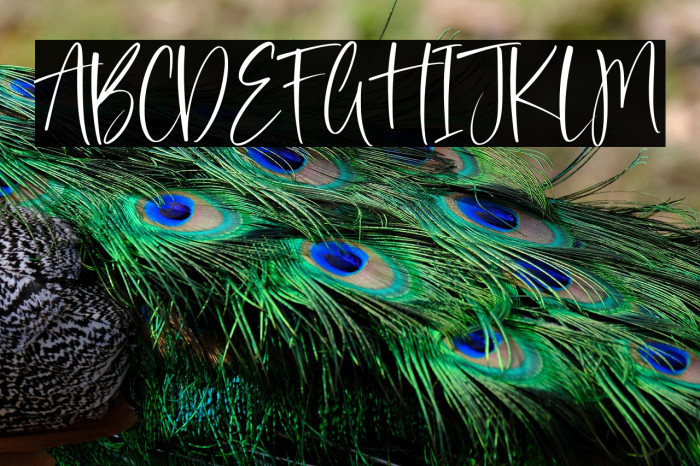 Obelisk Stone Example 1