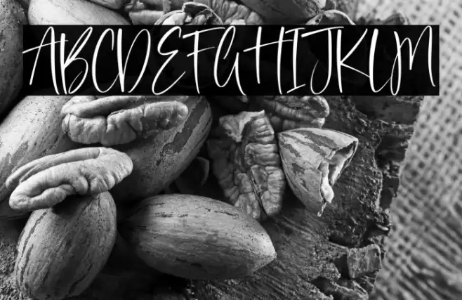 Obelisk Stone フォント examples