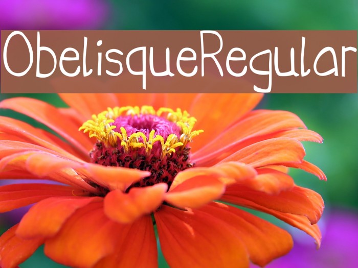 ObelisqueRegular Font examples
