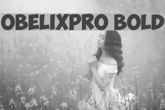 ObelixPro Bold Font examples