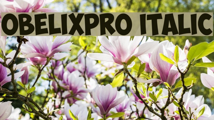 ObelixPro Italic Font examples