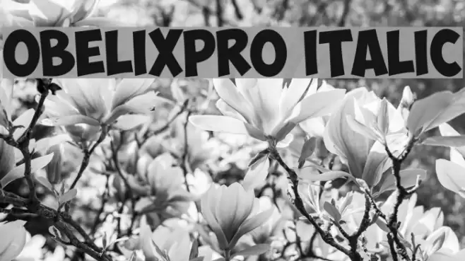 ObelixPro Italic フォント examples