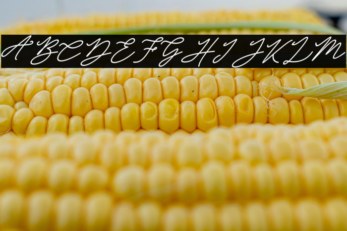 Obellia Script Example 1