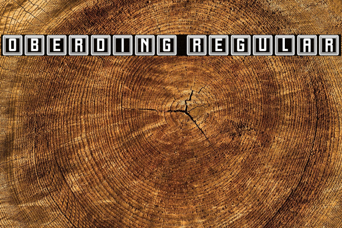 Oberding Regular Example 3