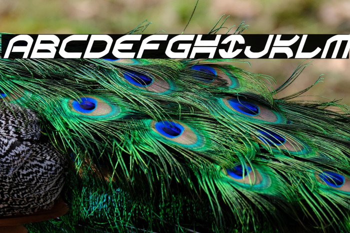 Oberon Condensed Italic Example 1