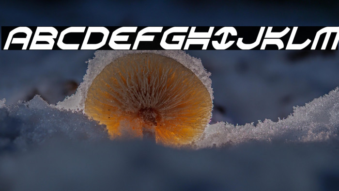 Oberon Condensed Italic Example 2