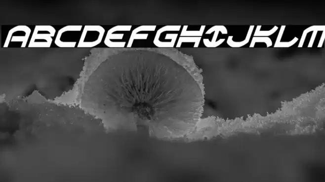 Oberon Condensed Italic Font examples