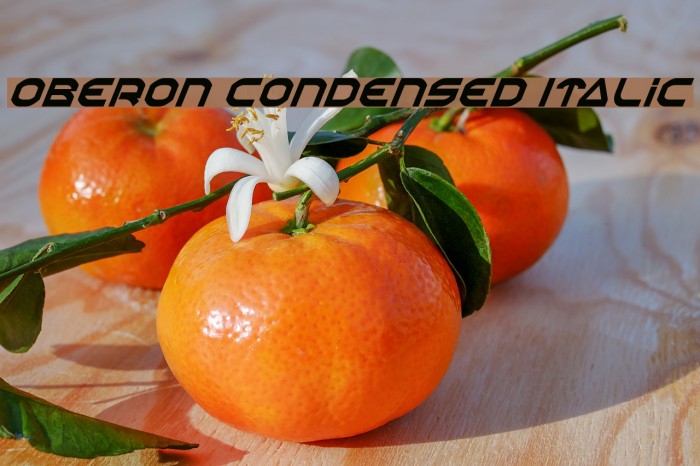 Oberon Condensed Italic Font examples