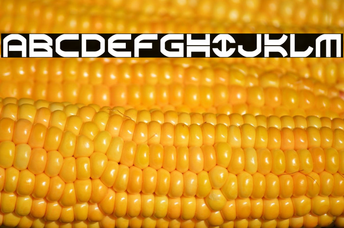 Oberon Condensed Example 3