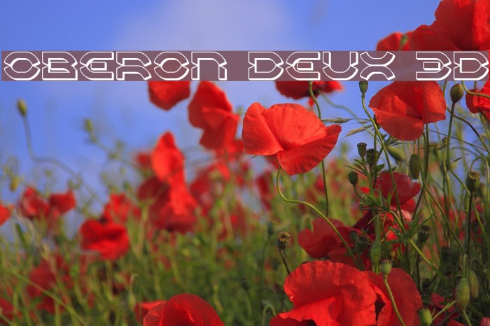 Oberon Deux 3D Font examples