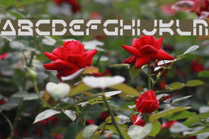 Oberon Deux Condensed Font examples