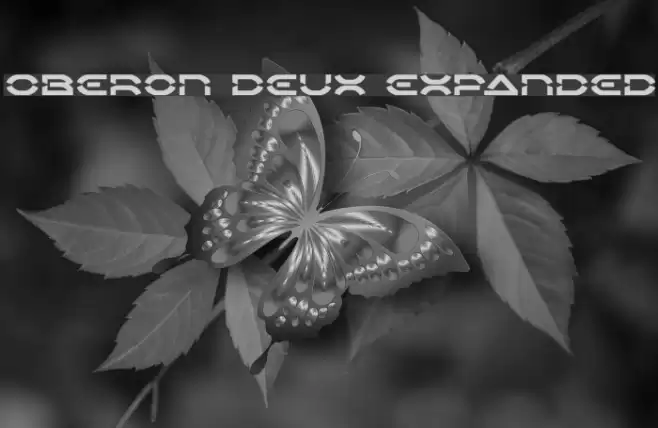 Oberon Deux Expanded Font examples