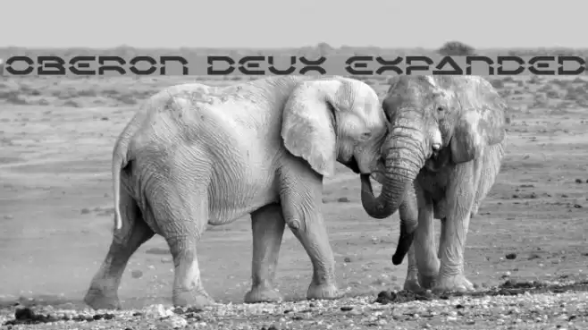 Oberon Deux Expanded Font examples