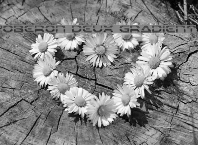 Oberon Deux Gradient Font examples